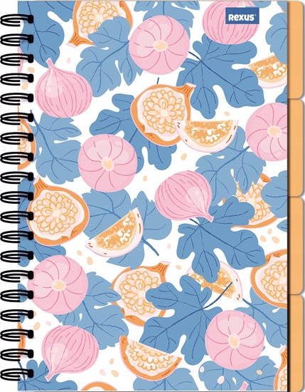 Picture of Teka Koozeszyt B5/96K kratka Vibe flow