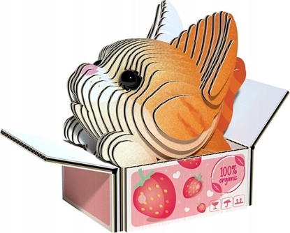 Attēls no Teka Kotek Pumpkin Eugy. Eko Ukadanka 3D