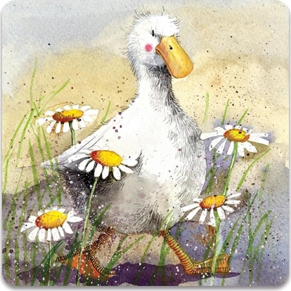 Picture of Teka Magnes FM169 Kaczka