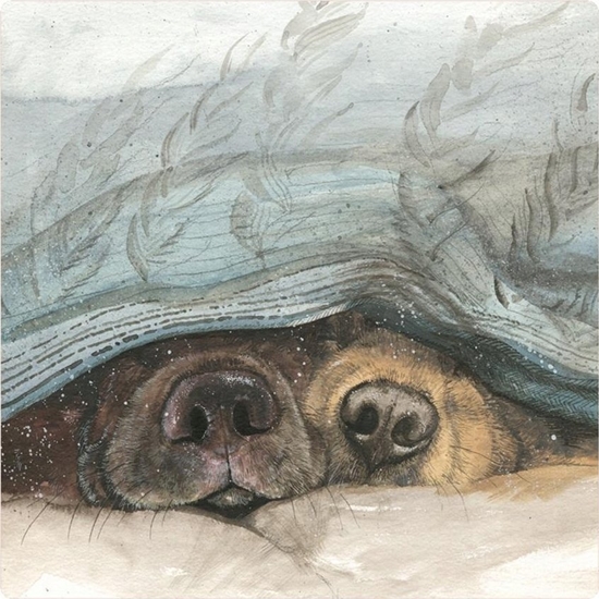 Picture of Teka Magnes FM210 Noski psów