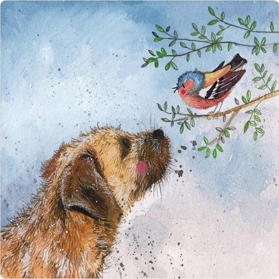 Picture of Teka Magnes FM230 Pies Oscar