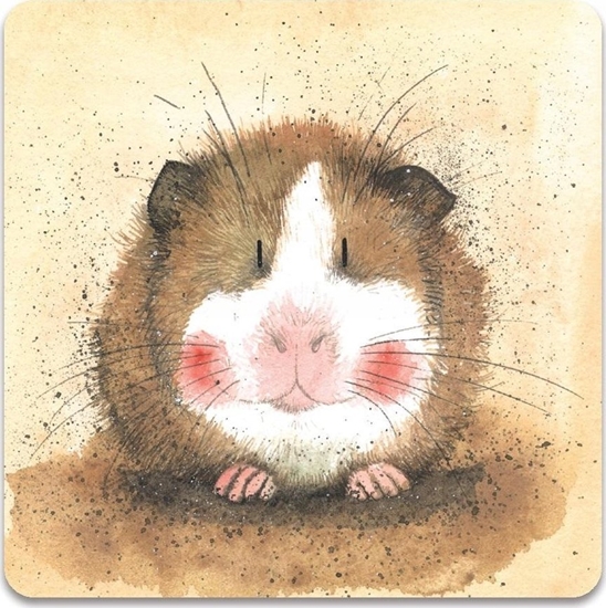 Picture of Teka Magnes FM74 ¦winka morska Gilbert