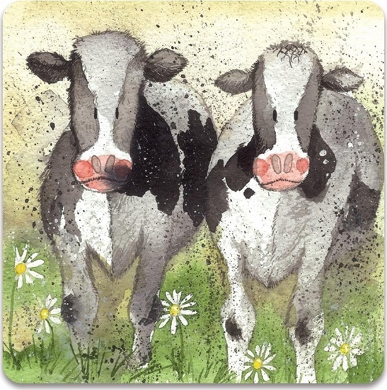 Picture of Teka Magnes FM76 Ciekawskie krowy