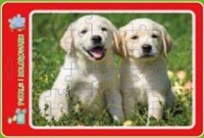 Изображение Teka Puzzle w ramce z kolorowank±. Szczeniaczki