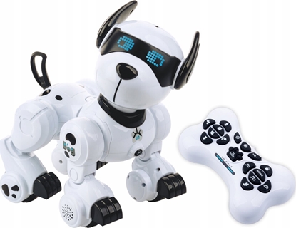 Picture of Teka Robopies