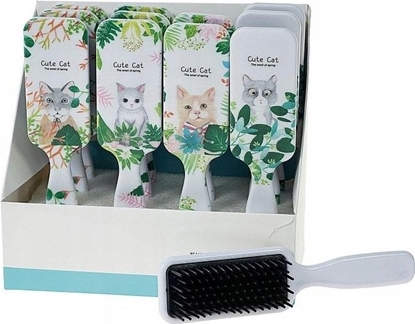 Picture of Teka Szczotka do wosów kotki (12szt)