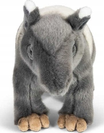 Picture of Teka Tapir