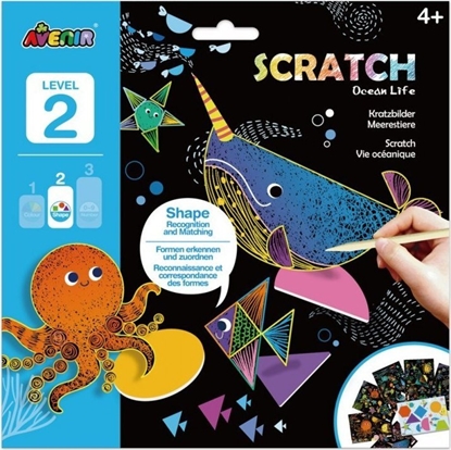 Picture of Teka Wydrapywanka - ycie oceanu