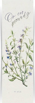 Picture of Teka Zakadka dua - On ci prowadzi