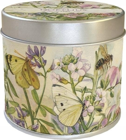 Picture of Teka Zapachowa ¶wieczka 227 ±ka - zapach fiokowy