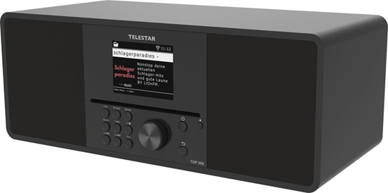 Picture of TELESTAR TOP 300 Schwarz Multifunktionsradios Stationär