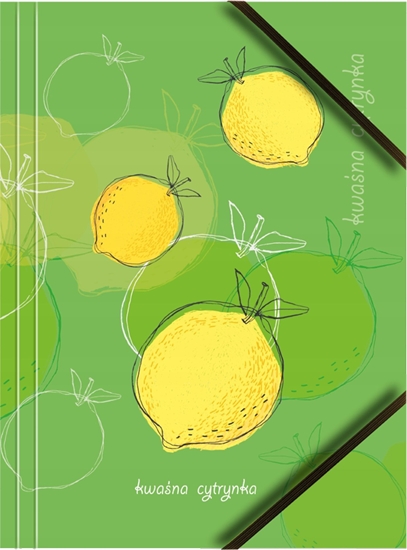 Picture of Tetis Teczka A4 kartonowa z gumk naron Owoce p6 BT601-M1 mix cena za 1 szt