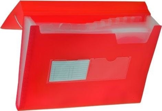 Picture of Tetis Teczka harmonijkowa PP TETIS z gumk naron A4 13 przegród - czerwona Tetis TARGI