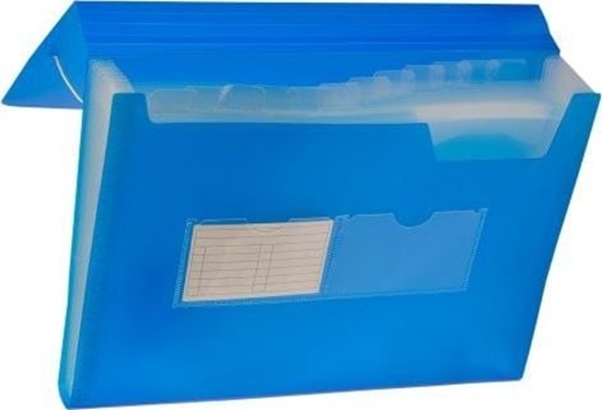 Picture of Tetis Teczka harmonijkowa PP TETIS z gumk naron A4 13 przegród - niebieska Tetis TARGI