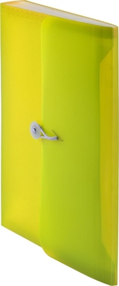 Attēls no Tetis Teczka harmonijkowa PP z gumk (13) A4 óta