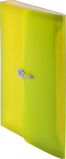 Picture of Tetis Teczka harmonijkowa PP z gumk (13) A4 óta