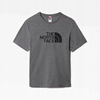 Picture of The North Face M SS Easy Tee NF0A8A6CDYY1 szary S