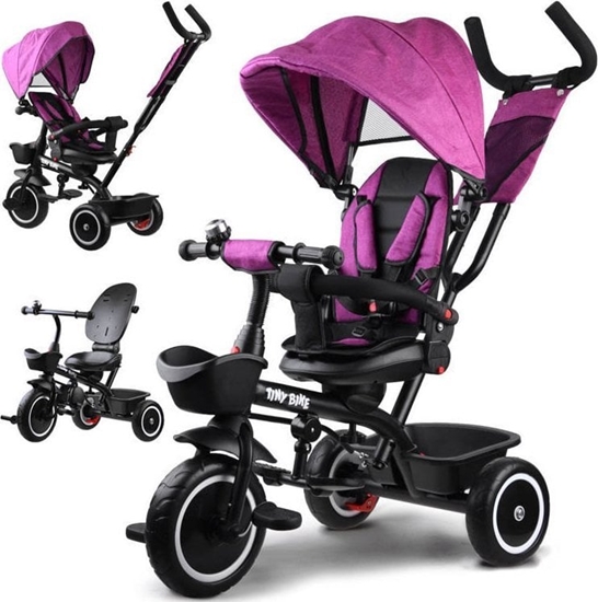 Picture of Tiny Bike Rowerek trójkoowy Tiny Bike 3w1 z daszkiem SP0650