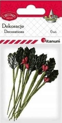 Изображение Titanum Gazki ostrokrzewu 15x30mm 6szt