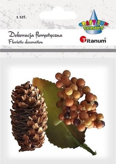 Picture of Titanum Ki jagód z liciem óte owoce 1szt