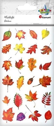 Изображение Titanum Naklejki foliowe jesienne li¶cie 24szt.