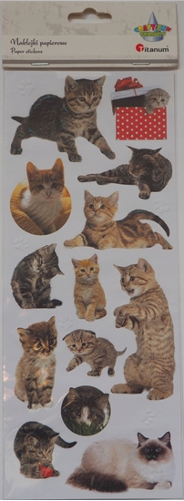 Изображение Titanum Naklejki papierowe koty