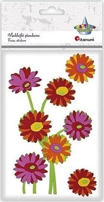 Изображение Titanum Naklejki piankowe biedronki, licie mix 76szt