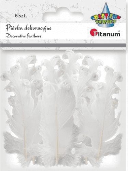 Picture of Titanum Piórka curly biae 6szt