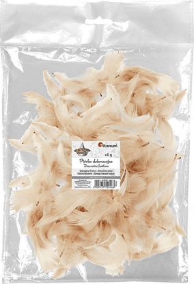 Picture of Titanum Piórka puch 16g beowe