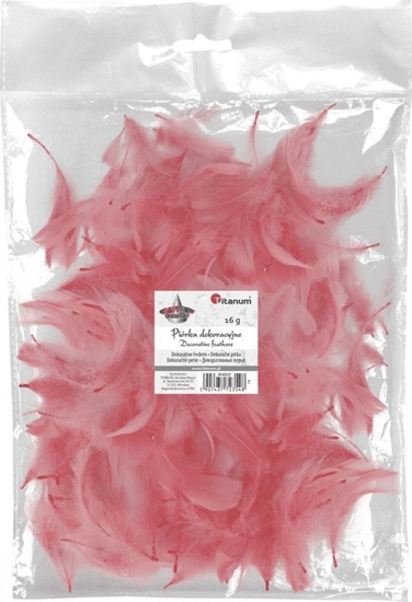 Picture of Titanum Piórka puch 16g brudnoróowe