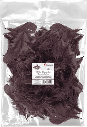 Picture of Titanum Piórka puch 16g brzowe