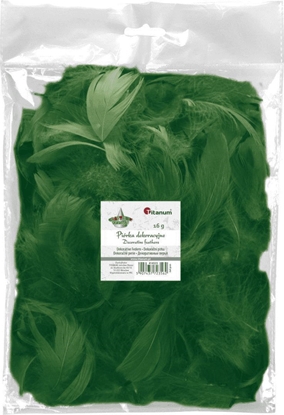 Picture of Titanum Piórka puch 16g ciemnozielone