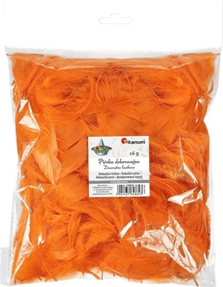 Picture of Titanum Piórka puch 16g pomaraczowe