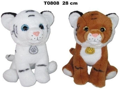 Picture of Tygrys 28cm MIX