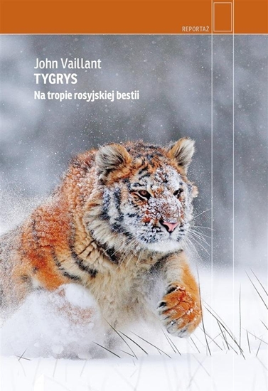 Изображение Tygrys. Na tropie rosyjskiej bestii