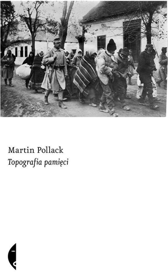 Picture of Topografia pamici w.2