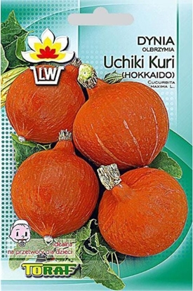 Picture of Toraf Dynia Uchiki Kuri Hokkaido nasiona warzyw 4g