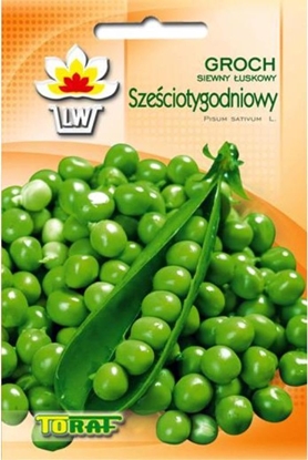 Picture of Toraf Groch Szeciotygodniowy nasiona warzyw 50g TORAF