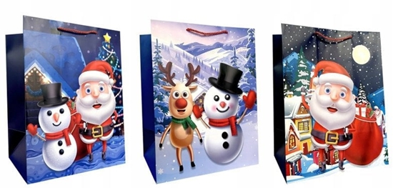 Picture of Torebka ozdobna prezentowa JP DW6039C 18x24x8,5 cm mix cena za 1 szt