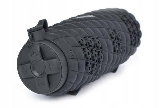 Изображение Toshiba Sonic Blast 2 TY-WSP80 black