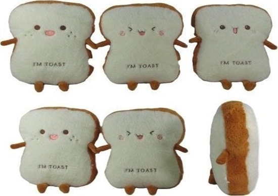 Изображение Tost 30cm MIX