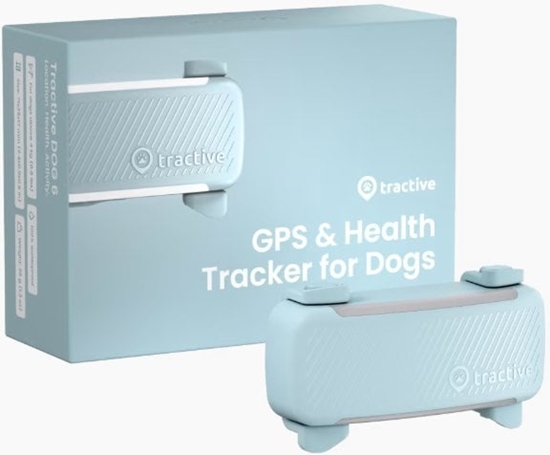 Изображение Tractive DOG 6 - Mint  - Subscription in app