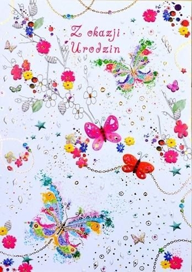 Picture of Trend Karnet B6 urodziny motyle i kwiaty silver