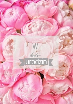 Picture of Trend Karnet B6 Urodziny, piwonie, silver TS97