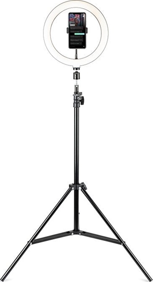 Picture of Tripod Havit ST7012 Pro z piercieniem wietlnym