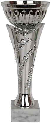 Изображение Tryumf Puchar Tryumf W1751