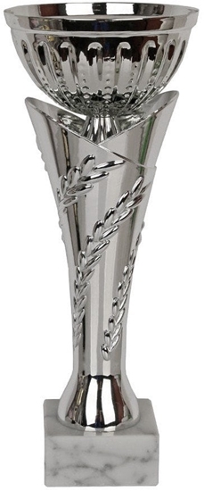 Изображение Tryumf Puchar Tryumf W1751