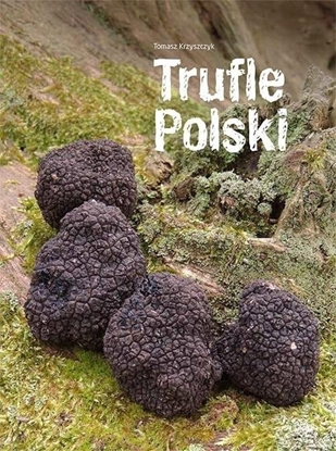 Изображение Trufle Polski