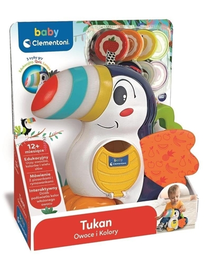 Picture of Tukan - Owoce i kolory