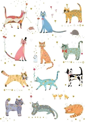 Изображение Turnowsky Karnet B6 + koperta Kotki